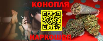 прущие грибы Гатчина