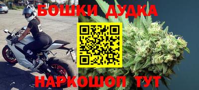 прущие грибы Гатчина