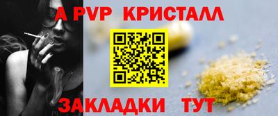 прущие грибы Гатчина