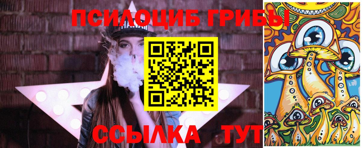 Псилоцибиновые грибы Psilocybe  где купить   Симферополь  Вход с VPN 