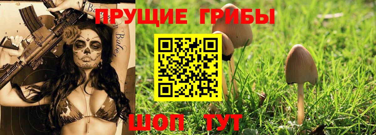 Галлюциногенные грибы ЛСД Симферополь